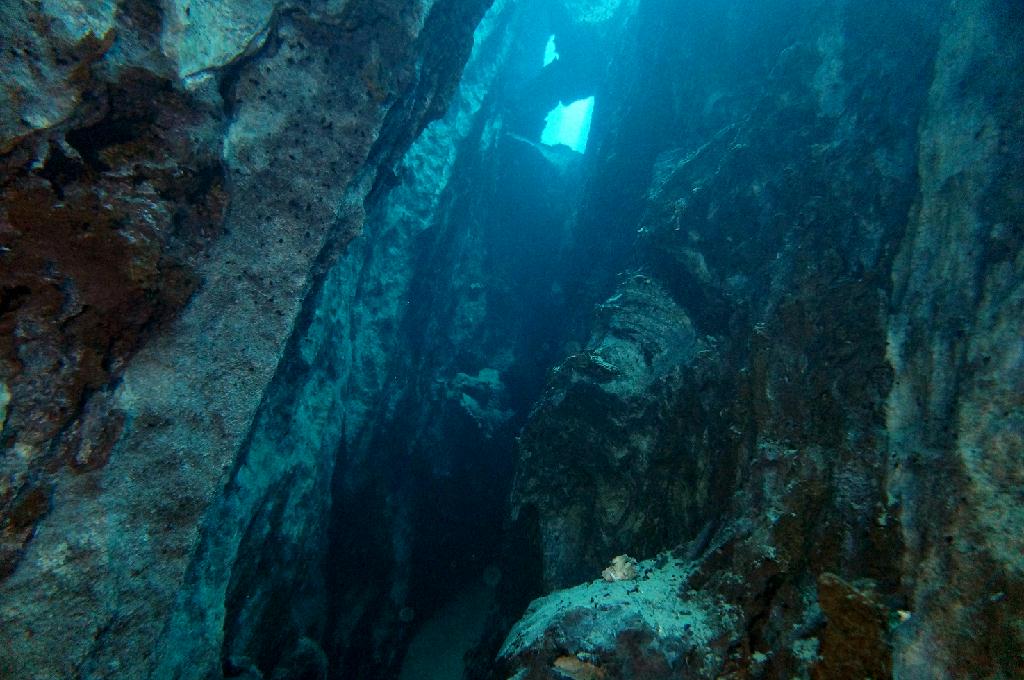 필리핀 코론 산호다이브 - 바라쿠다 레이크