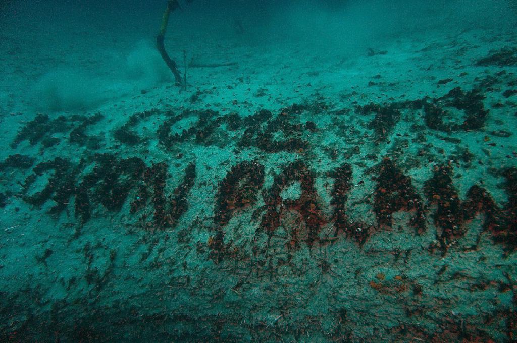 필리핀 코론 산호다이브 - 바라쿠다 레이크