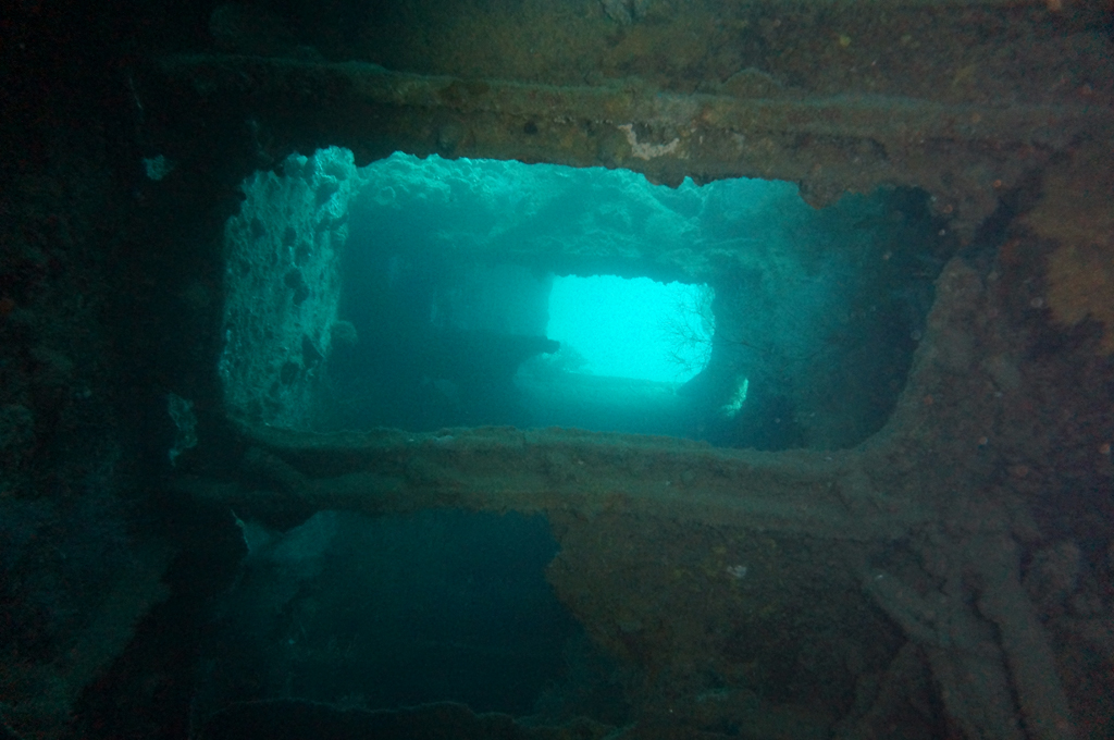 필리핀 코론 산호다이브 - 아킷수시마