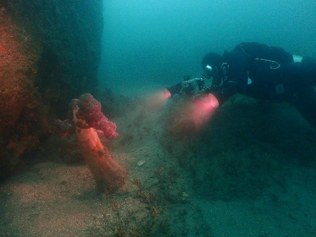 펀다이빙 - 제주도 수중산책 - 아치