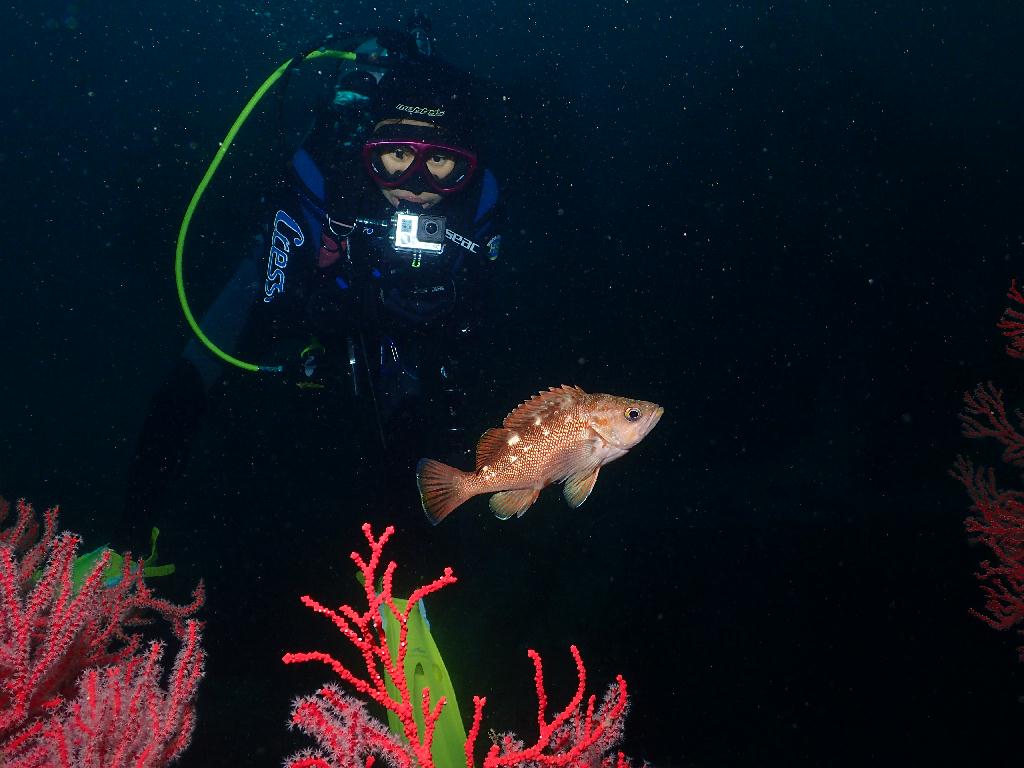 펀다이빙 - 강원도 양양 38마린리조트 - 샌드블럭
