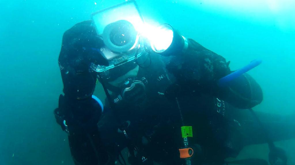 해양생물탐색 - 금오도 - 리조트 인근 섬 남쪽