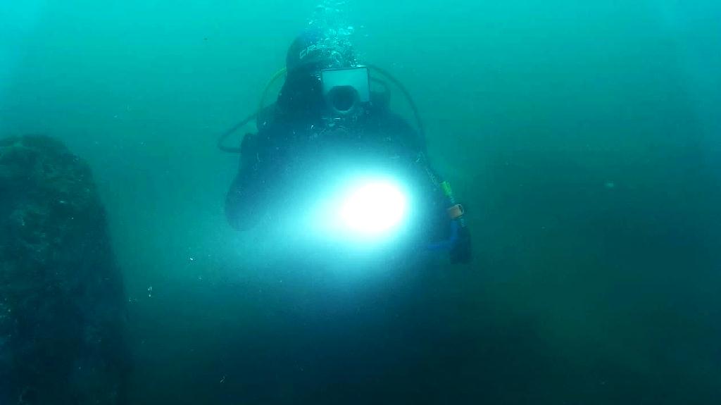 해양생물탐색 - 금오도 - 리조트 인근 섬 남쪽