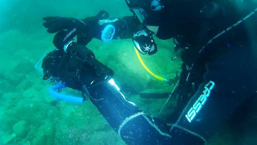 해양생물탐색 - 금오도 - 리조트 인근 섬 남쪽