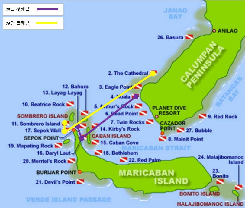 아닐라오 - Dead Palm