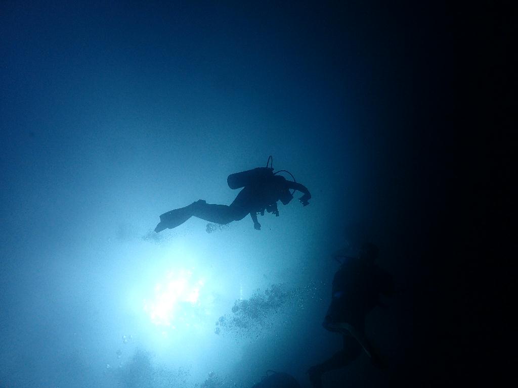 펀다이빙 - 필리핀 세부 오션플레이어 - 힐룽뚜안