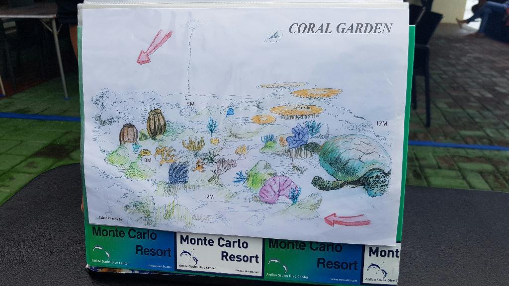 아프면 그만하자 - 아닐라오 monte carlo - coral garden