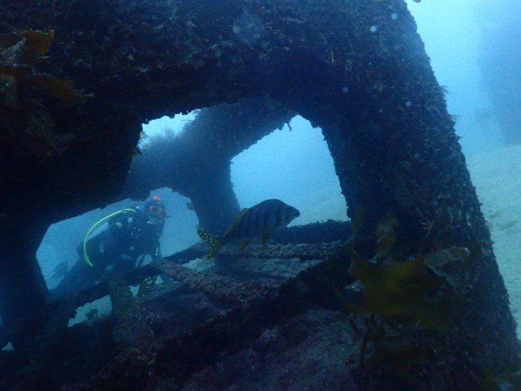 펀다이빙 - 제주도 굿다이버 - 섶섬 작은 한개창