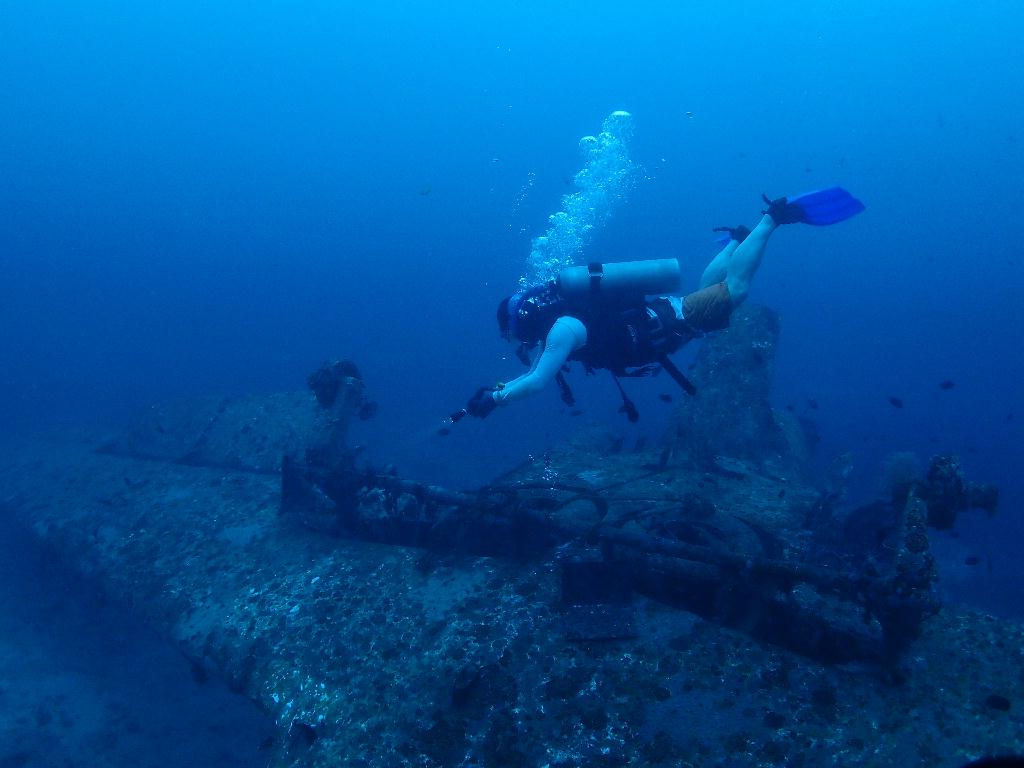 Fun - Boracy, Philippines - Tribird