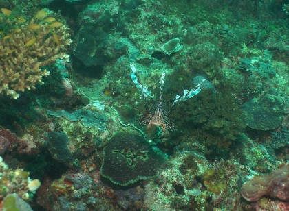 Fun - Boracy, Philippines - Camia shipwreck
