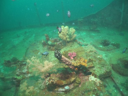 Fun - Boracy, Philippines - Camia shipwreck