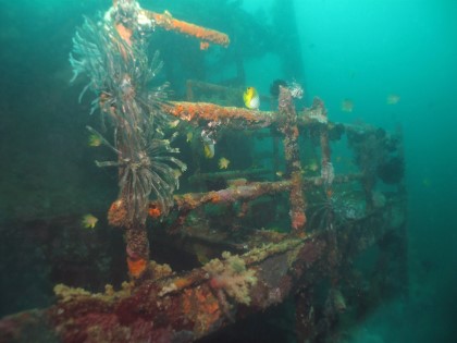 Fun - Boracy, Philippines - Camia shipwreck
