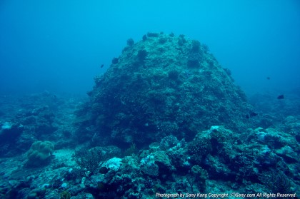 Fish awareness - Boracy, Philippines - Fridays Rock