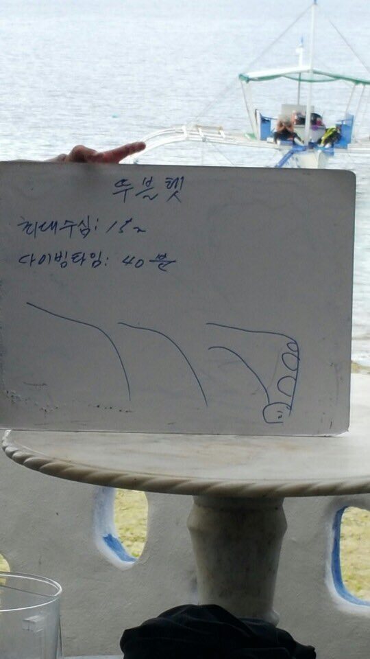 펀다이빙 - 세부 모알보알 - 뚜블텟 월다이빙