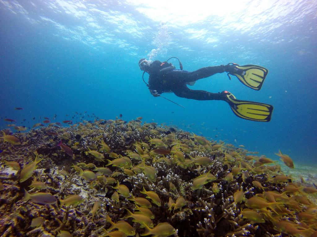 필리핀 보홀 발리카삭 - Black forest