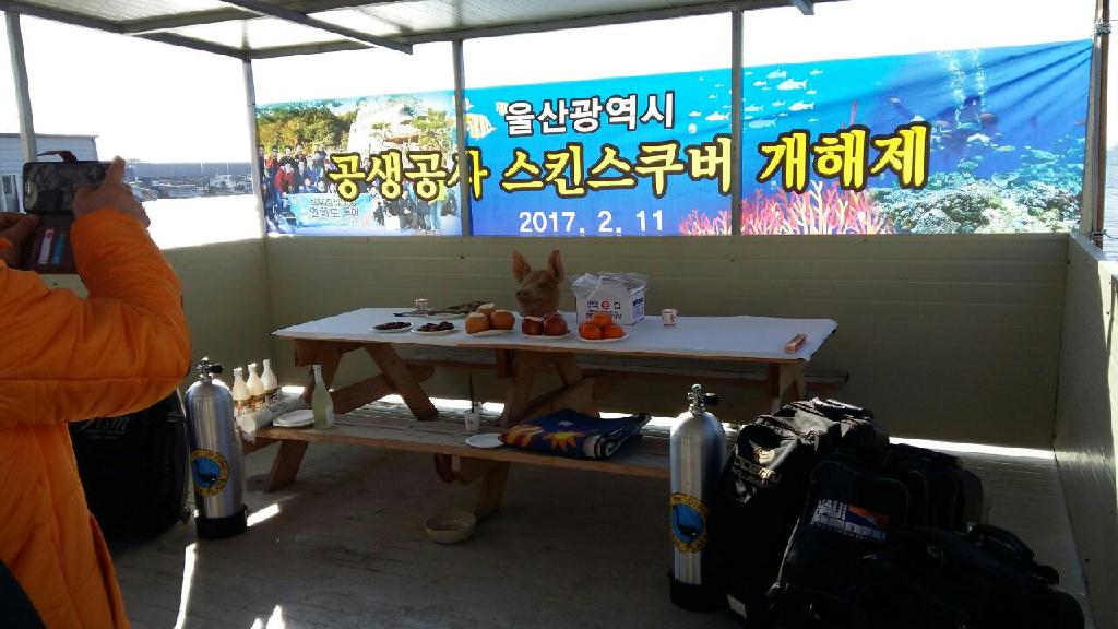 아라스쿠버클럽