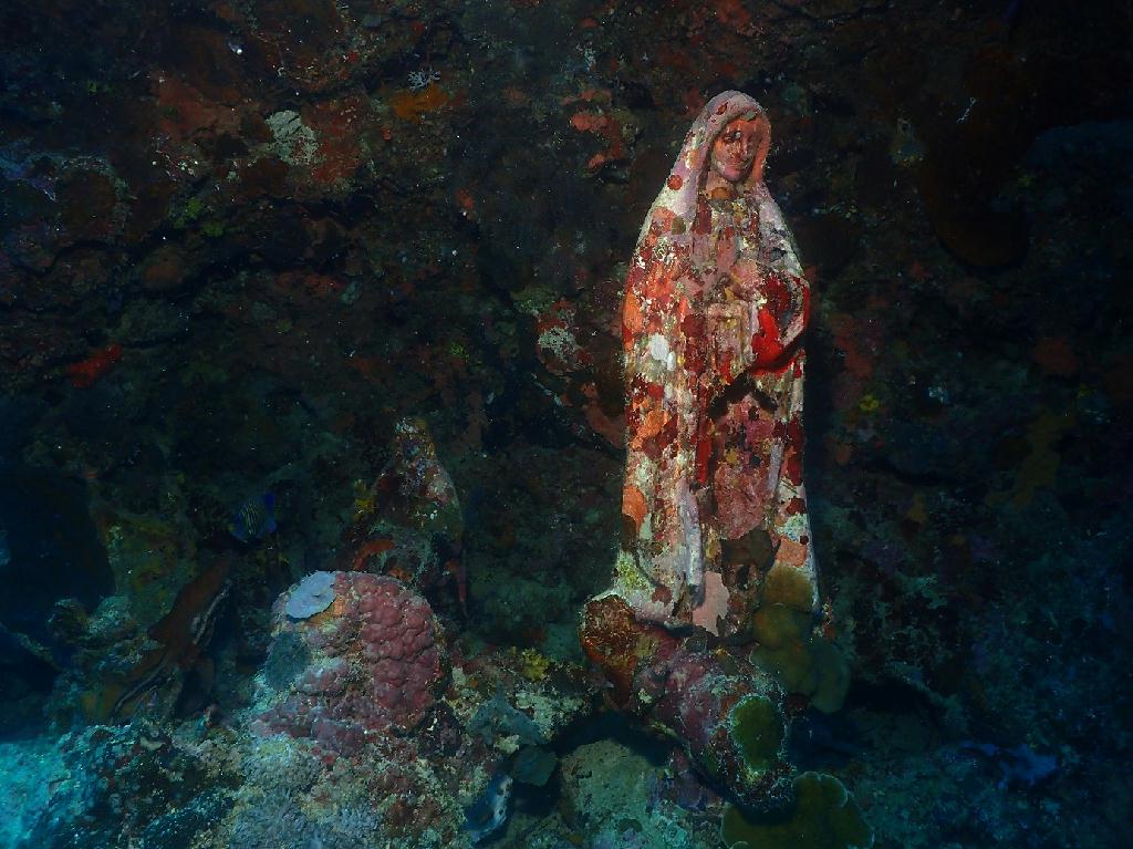 펀다이빙 - 필리핀 세부 와이다이브 - 마리아