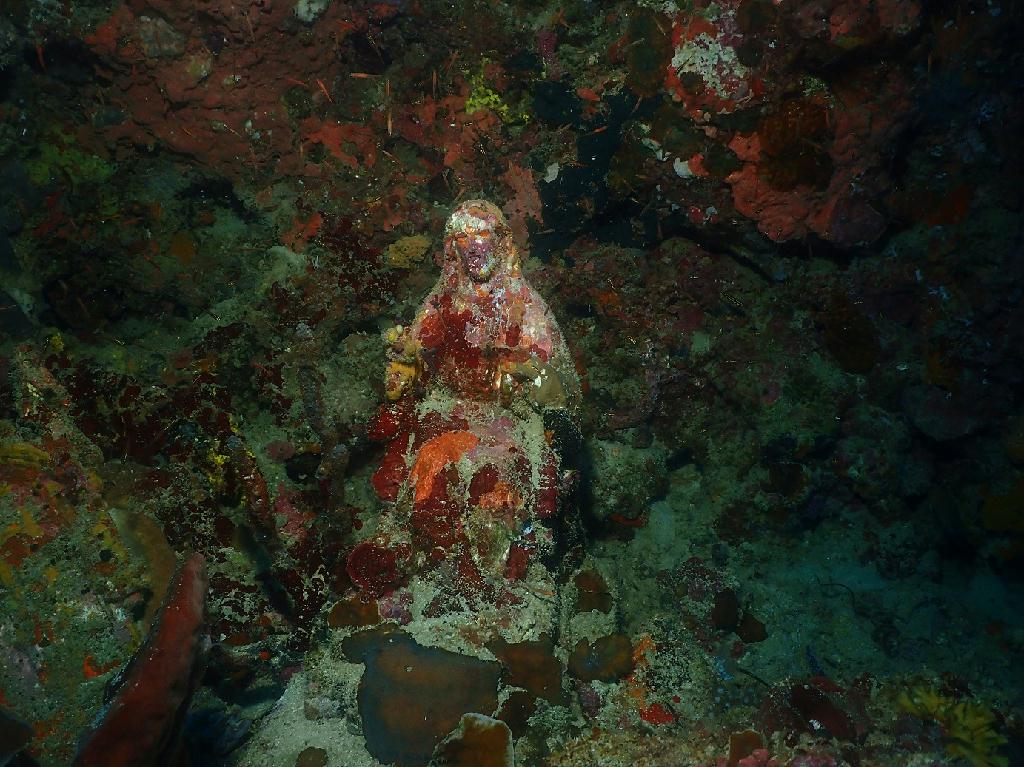 펀다이빙 - 필리핀 세부 와이다이브 - 마리아