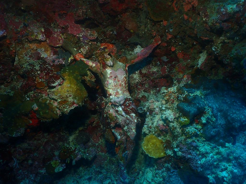 펀다이빙 - 필리핀 세부 와이다이브 - 마리아
