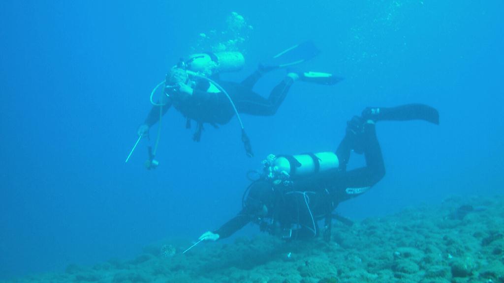 Anilao - Matu