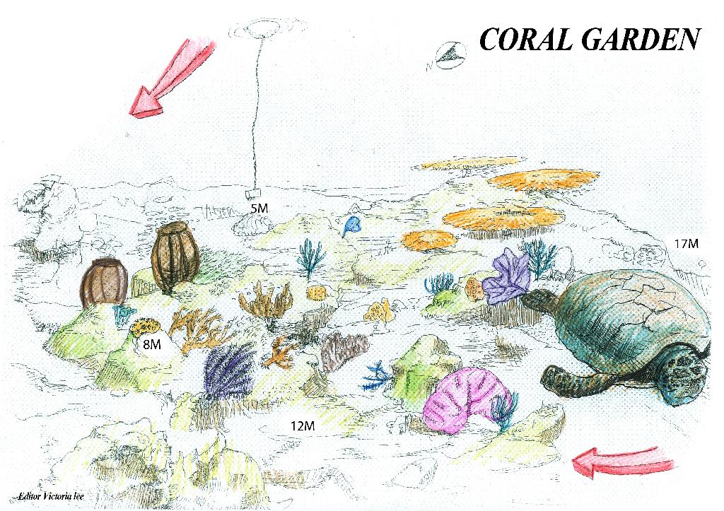 Anilao - Coral garden