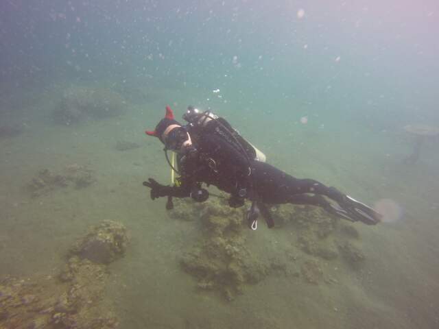 Anilao - Vistarma