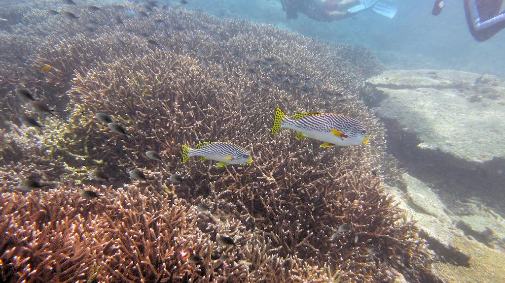 Sipadan