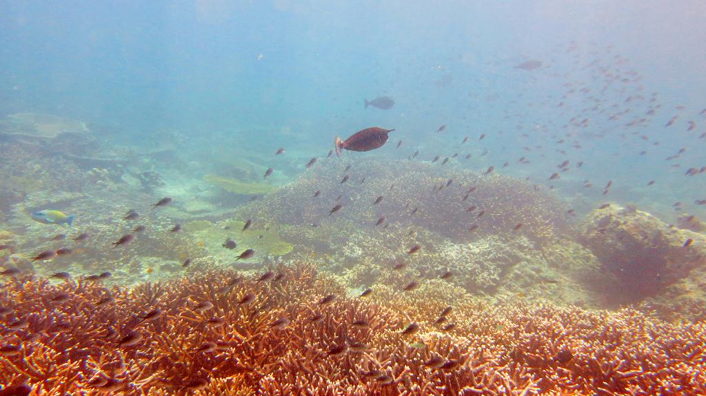 Sipadan