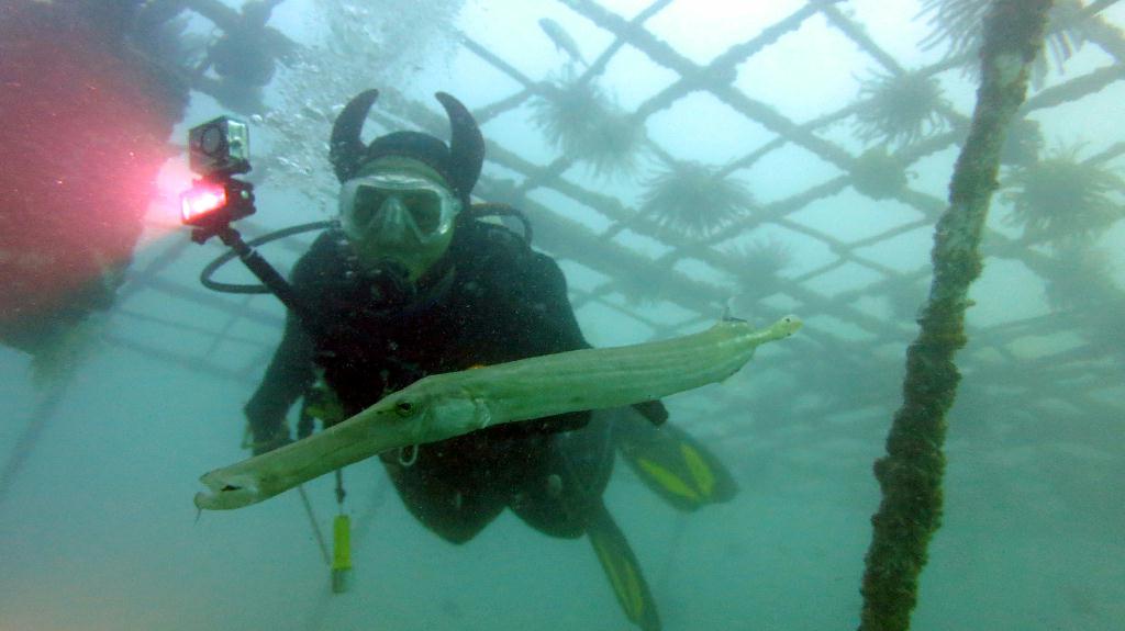 Mabul - House Reef