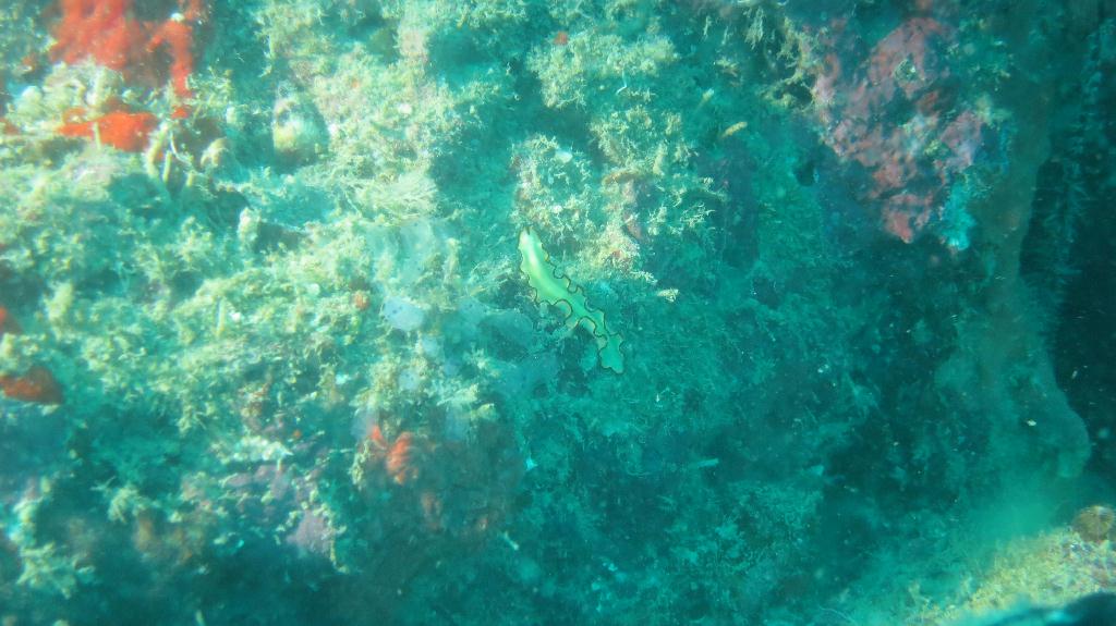 Mabul