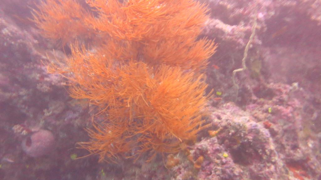 Sipadan