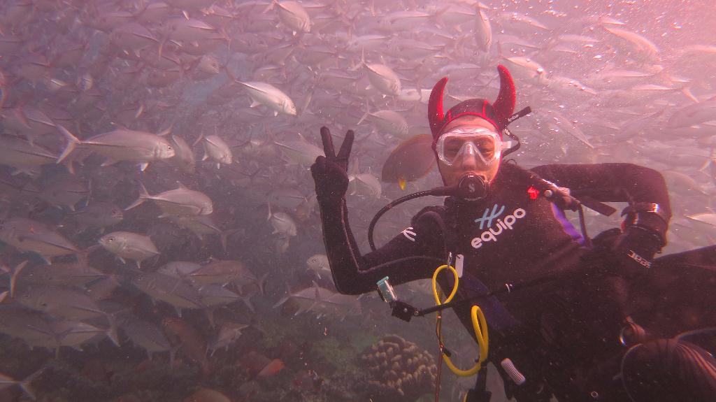 Sipadan - Barracuda Point