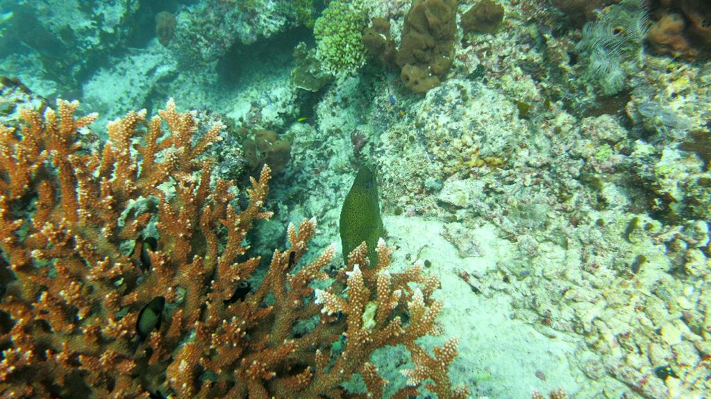 Sipadan