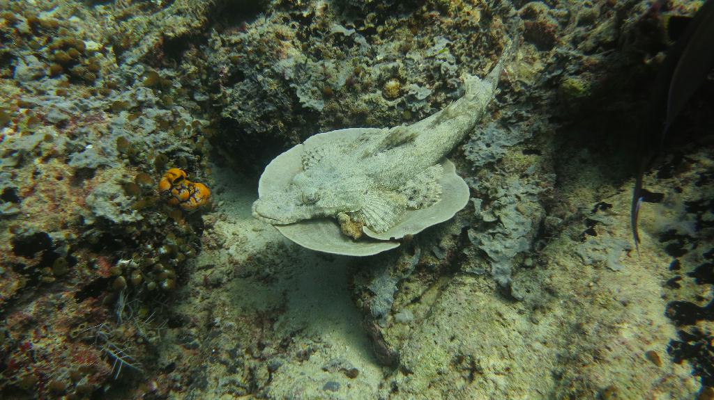 Sipadan