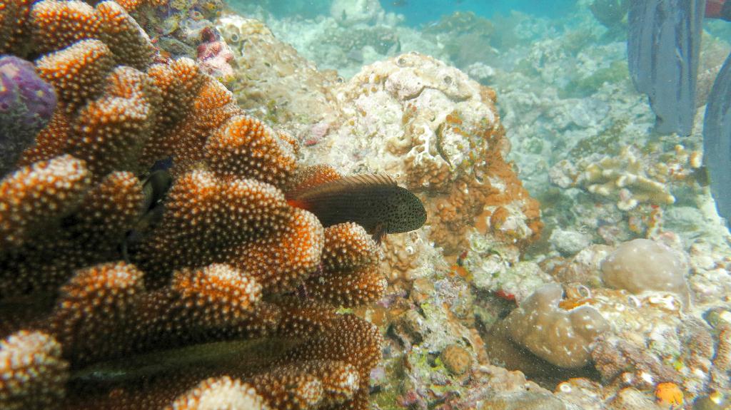 Sipadan