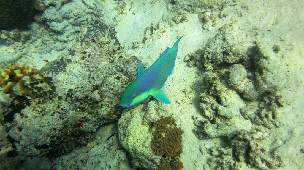 Sipadan