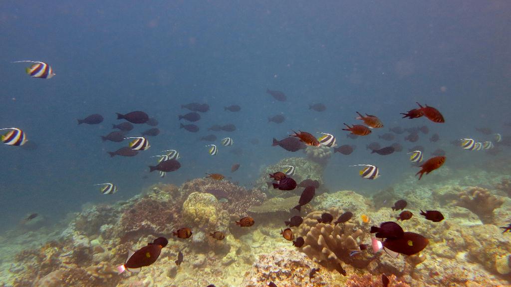 Sipadan