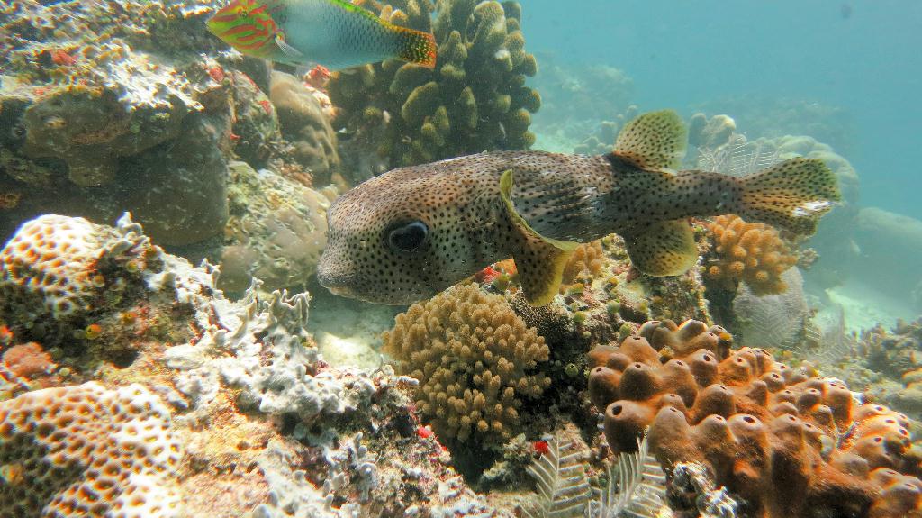 Sipadan