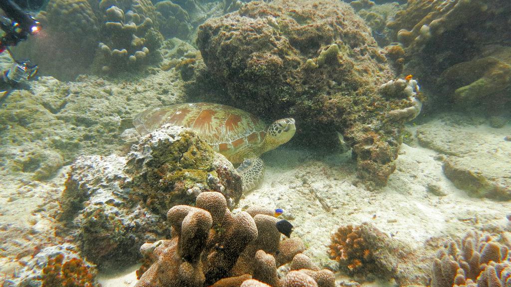 Sipadan