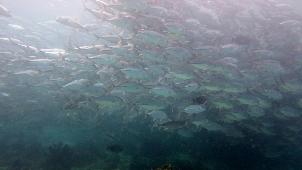 Sipadan