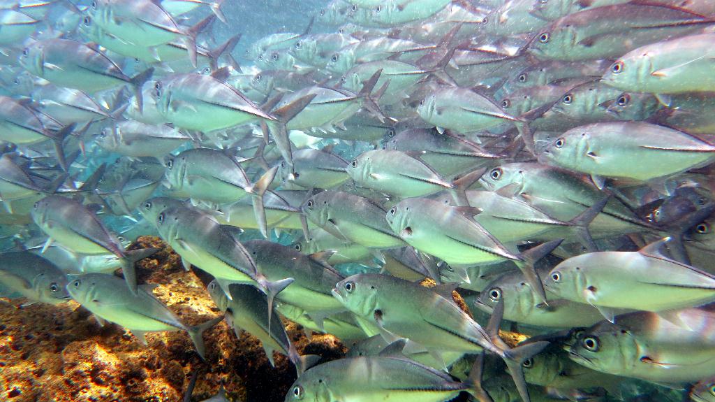 Sipadan