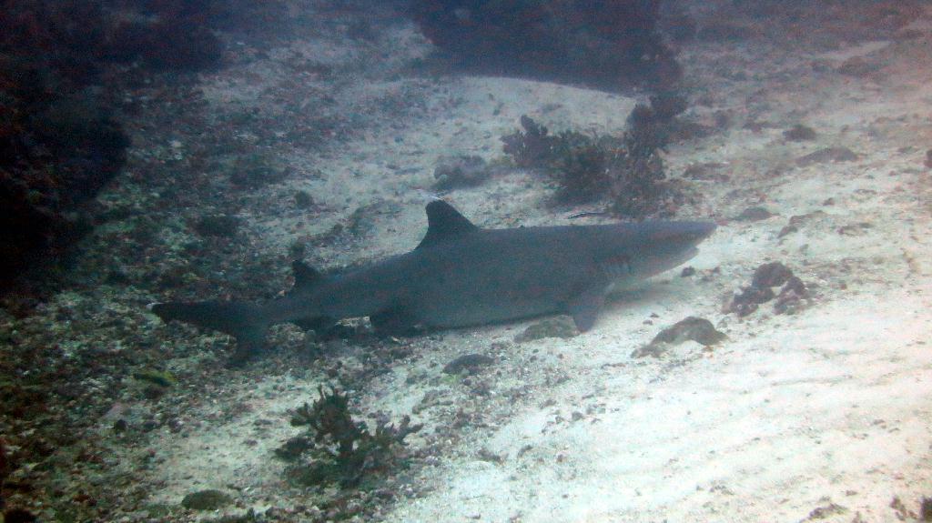 Sipadan