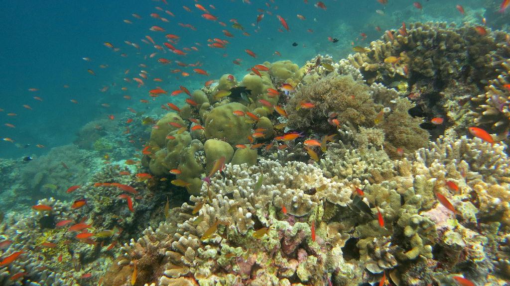 Sipadan