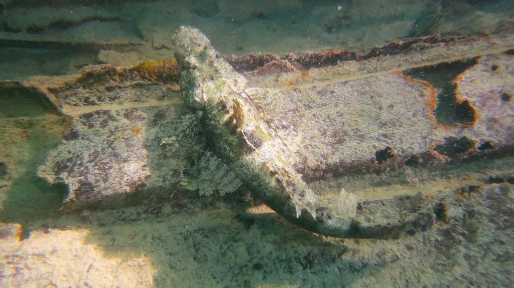 Mabul - House Reef 右邊