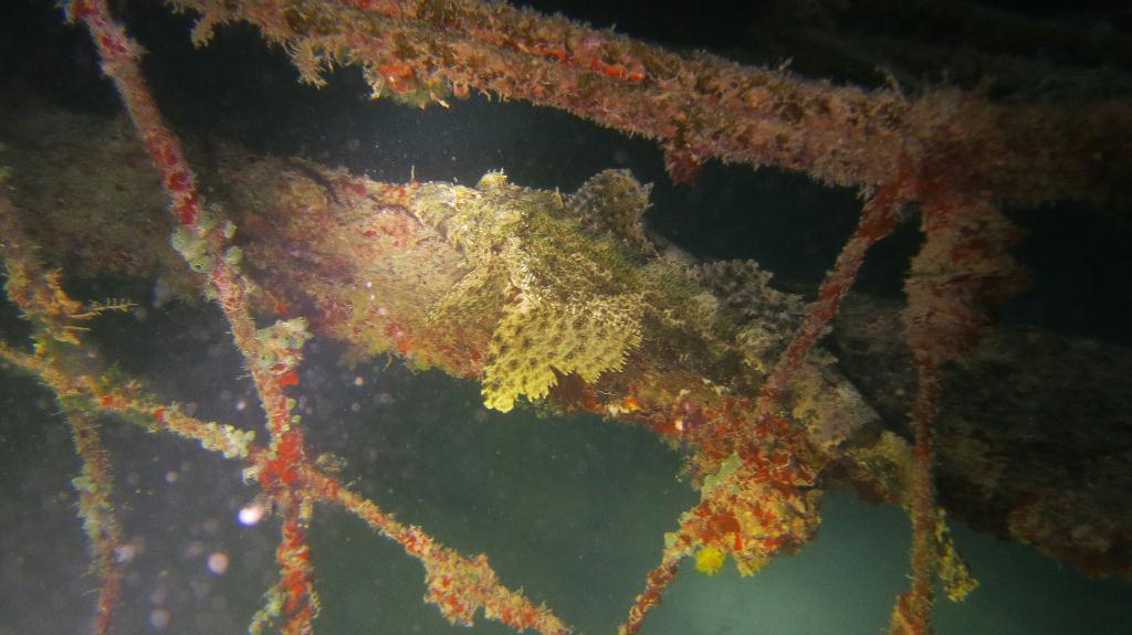 Mabul - House Reef 右邊