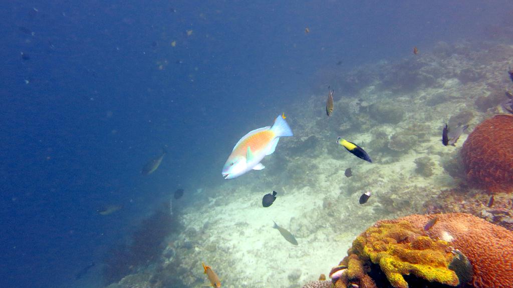 Sipadan