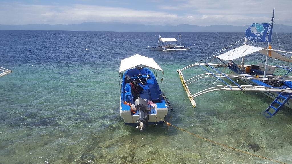 해외 다이빙 투어 - CEBU MOALBOAL JUNE DIVE RESORT - KASAI WALL
