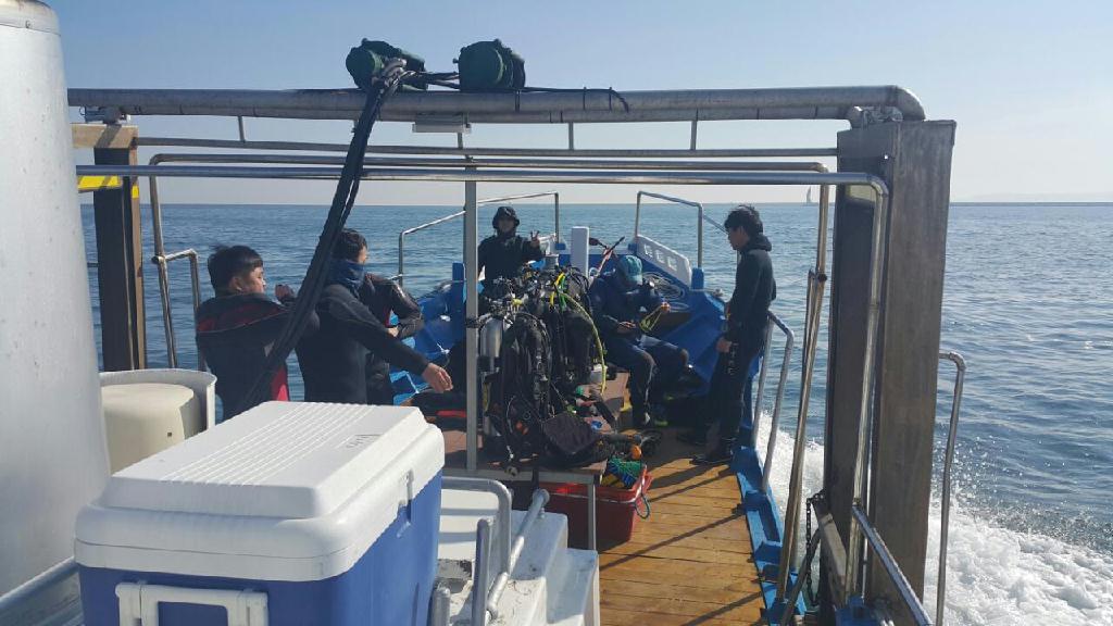 아라스쿠버클럽 