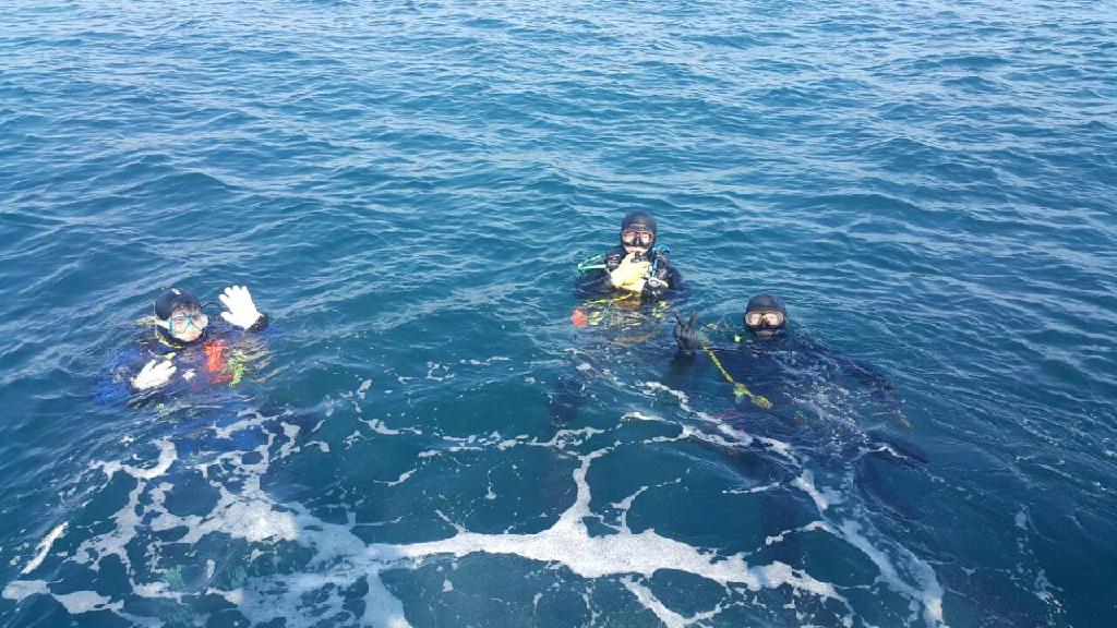 아라스쿠버클럽 