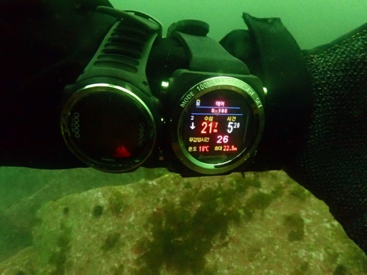 펀다이빙 - 강원도 강릉 해원리조트 - 사자봉